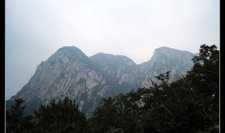 天龙八部手游跨服护宝神兽攻略 天龙八部少室山攻略