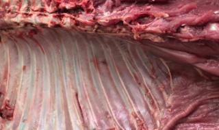 狍子腿怎么吃 狍子肉咋做好吃