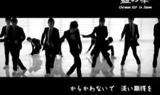 im sorry这首歌内涵了什么 sorrysorrymv高清