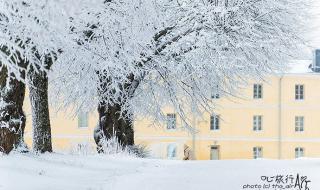 冬天第四场雪,日记五年级 冬天的第一场雪作文