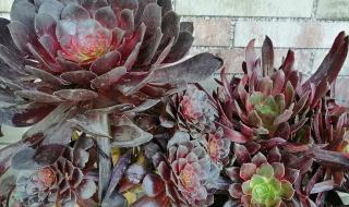 女人对男人不冷不热意味这什么 不冷不热是什么意思