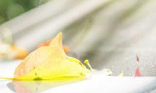 小男孩头像 小男孩头像