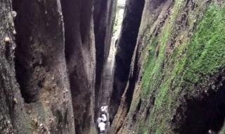 张家界租车 张家界租车