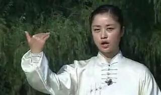 42式太极拳分解教学