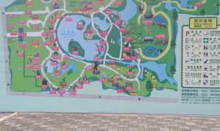 上海动物园攻略 上海动物园攻略