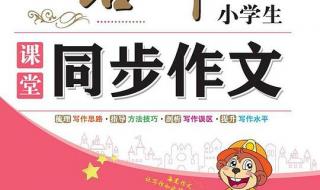 仿照六年级下册第九课那个星期天的写作手法写一篇作文 六年级下册同步作文