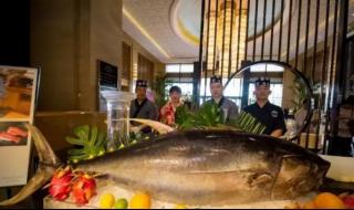 石家庄万达洲际酒店 石家庄万达洲际酒店