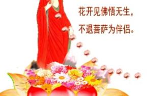 今生修佛缘是啥歌 今生我在修佛缘原唱