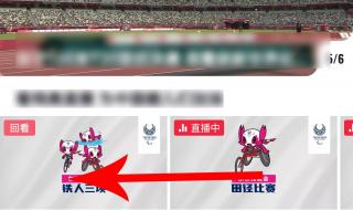 东京残奥会第七块金牌 东京残奥运会金牌总榜